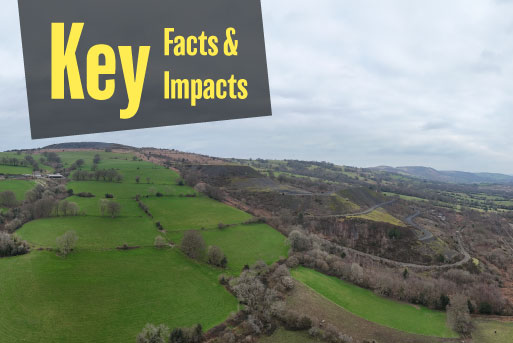 Bedwas coal tips: Key facts and impacts